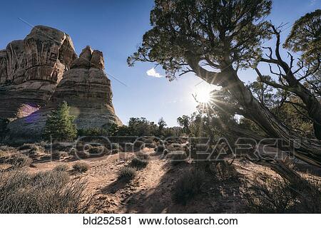 "Sun in blue sky over desert, Moab, Utah, United States" View Large Photo Image Stock Image - "Sun in blue sky over desert, Moab, Utah, United States". Fotosearch