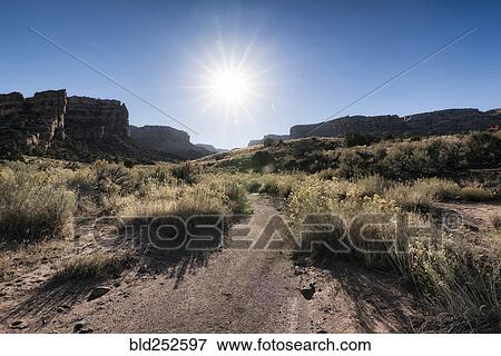 Sun in blue sky over desert path View Large Photo Image Stock Photo - Sun in blue sky over desert path. Fotosearch