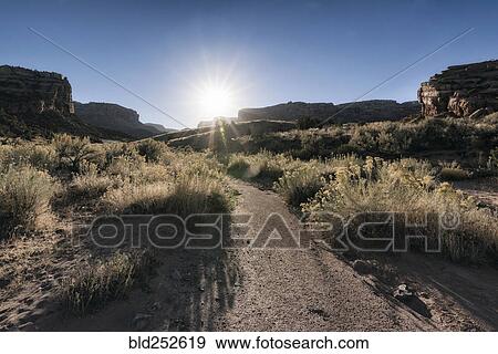 Stock Photo - Sun in blue sky over desert. Fotosearch