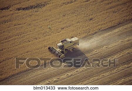Stock Image - Tractor harvesting crops. Fotosearch