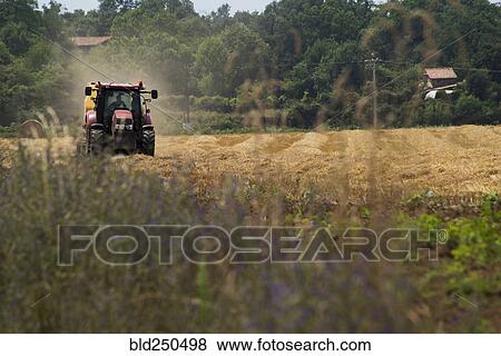 Tractor in field View Large Photo Image Stock Photo - Tractor in field. Fotosearch