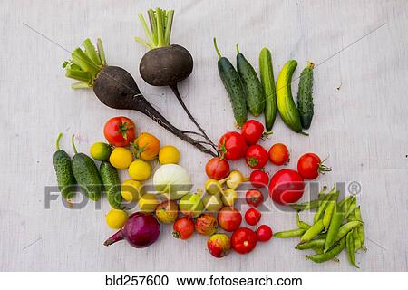 Variety of vegetables on table View Large Photo Image Stock Image - Variety of vegetables on table. Fotosearch