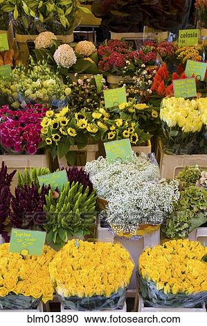 Stock Image - Various flowers for sale in market stall. Fotosearch