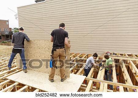 Volunteers holding plywood at construction site View Large Photo Image Stock Image - Volunteers holding plywood at construction site. Fotosearch