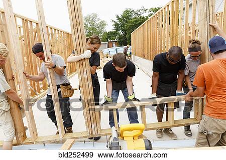 Volunteers lifting framed wall at construction site View Large Photo Image Stock Photo - Volunteers lifting framed wall at construction site. Fotosearch