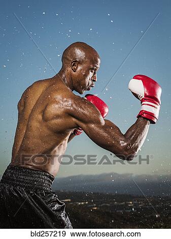 Water splashing on black boxer outdoors View Large Photo Image Stock Photo - Water splashing on black boxer outdoors. Fotosearch