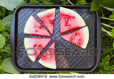 Stock Photograph - Watermelon slices on plastic tray. Fotosearch