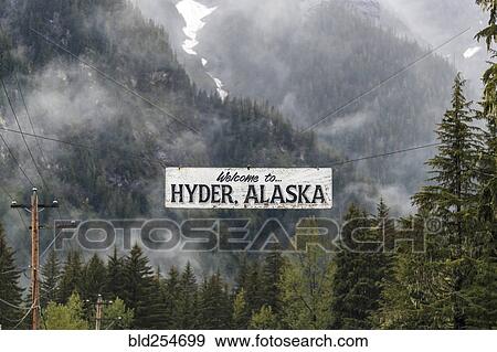 Welcome sign hanging in forest View Large Photo Image Stock Photo - Welcome sign hanging in forest. Fotosearch