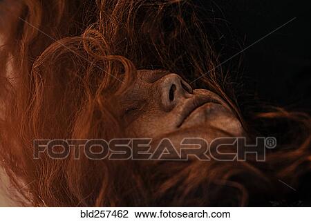 Wind blowing red hair of Caucasian woman View Large Photo Image Stock Image - Wind blowing red hair of Caucasian woman. Fotosearch