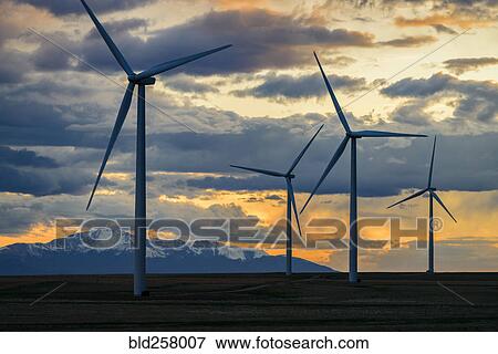Stock Photo - Wind turbines at sunset. Fotosearch