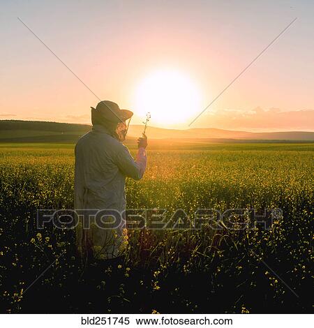Woman examining wildflowers in field at sunset View Large Photo Image Stock Photography - Woman examining wildflowers in field at sunset. Fotosearch