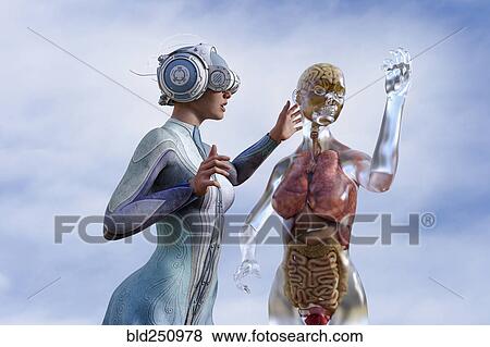 Woman viewing organs of transparent woman in virtual reality View Large Photo Image Stock Photo - Woman viewing organs of transparent woman in virtual reality. Fotosearch