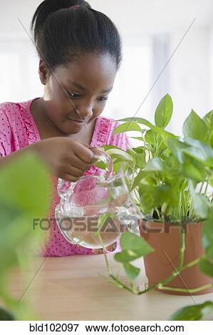 Black girl watering plants View Large Photo Image Stock Photo - Black girl watering plants. Fotosearch