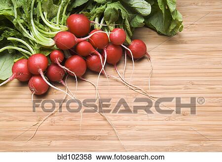 Bunch of radishes View Large Photo Image Stock Photo - Bunch of radishes. Fotosearch