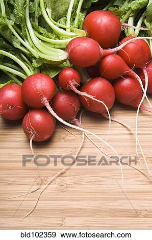 Bunch of radishes View Large Photo Image Stock Photo - Bunch of radishes. Fotosearch