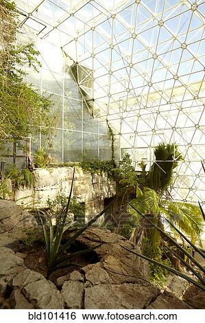 Stock Photograph - Plants growing in greenhouse. Fotosearch