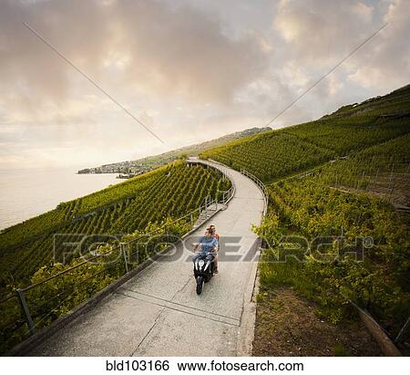 Stock Photograph - Couple riding scooter in vineyard. Fotosearch