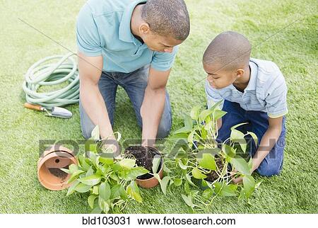 Father and son gardening View Large Photo Image Stock Image - Father and son gardening. Fotosearch