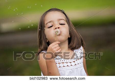 Mixed race girl blowing dandelion seeds View Large Photo Image Stock Image - Mixed race girl blowing dandelion seeds. Fotosearch