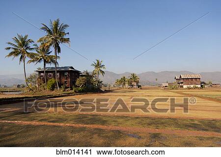 Stock Image - House under palm trees in remote area. Fotosearch