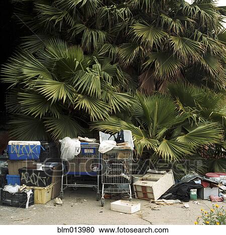 Trash and shopping carts underneath palm tree View Large Photo Image Stock Image - Trash and shopping carts underneath palm tree. Fotosearch