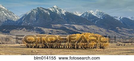 Trees with autumn leaves in remote valley View Large Photo Image Stock Photography - Trees with autumn leaves in remote valley. Fotosearch