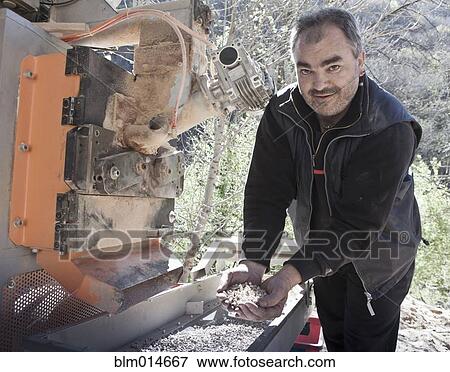 Stock Photo - Carpenter holding wood chips. Fotosearch