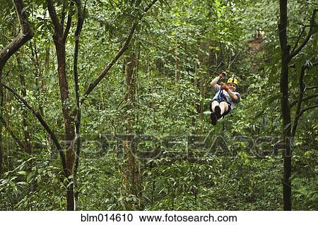 Stock Image - Caucasian man on zip line in forest. Fotosearch