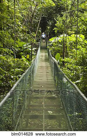 Stock Photo - Caucasian woman crossing suspension bridge in forest. Fotosearch