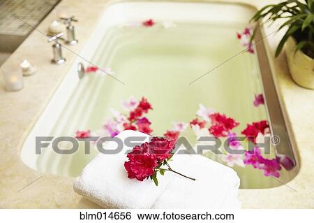 Stock Photograph - Flowers floating in bathtub. Fotosearch