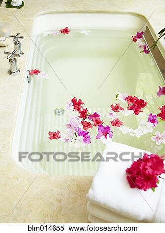 Flowers floating in bathtub View Large Photo Image Stock Photography - Flowers floating in bathtub. Fotosearch