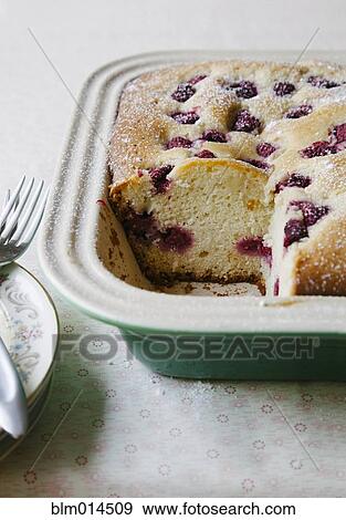 Fresh berry cake in pan View Large Photo Image Stock Photo - Fresh berry cake in pan. Fotosearch