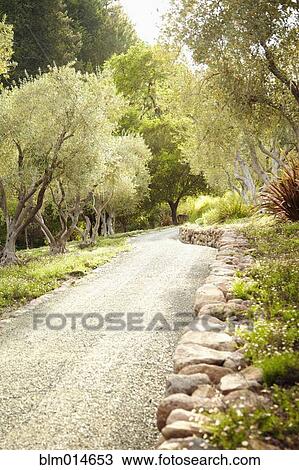 Stock Image - Path through formal garden. Fotosearch