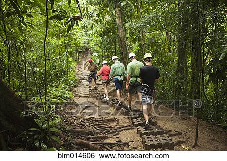 Stock Photograph - People hiking through rain forest. Fotosearch