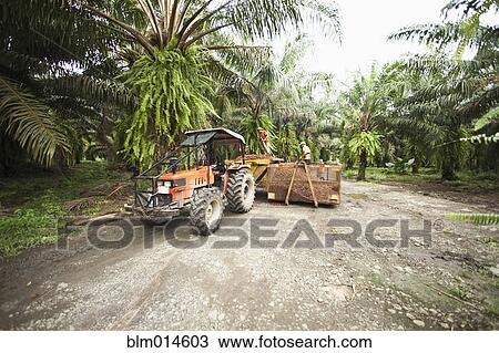 Workers with tractor in remote area View Large Photo Image Stock Image - Workers with tractor in remote area. Fotosearch