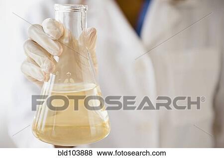 Cape Verdean scientist holding chemical in beaker View Large Photo Image Stock Photo - Cape Verdean scientist holding chemical in beaker. Fotosearch
