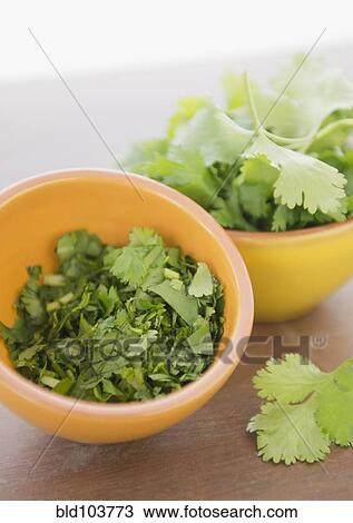 Chopped cilantro in bowl View Large Photo Image Stock Image - Chopped cilantro in bowl. Fotosearch
