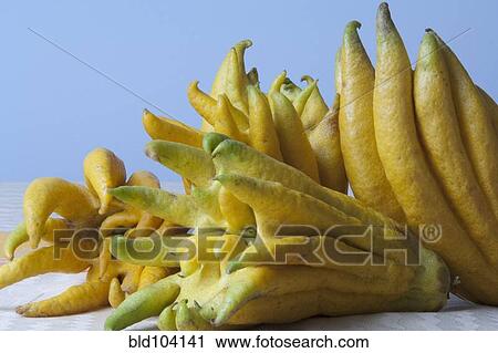 Stock Image - Close up of buddha's hand fruit. Fotosearch