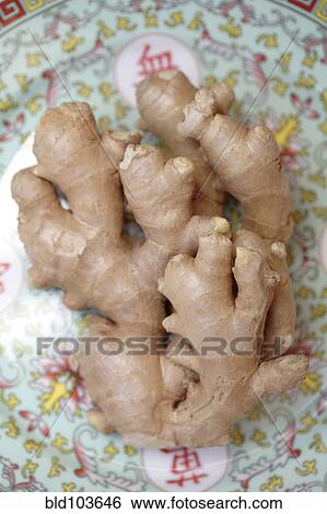 Ginger root on plate View Large Photo Image Stock Photograph - Ginger root on plate. Fotosearch