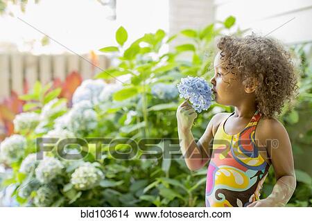 Mixed race girl smelling flower View Large Photo Image Picture - Mixed race girl smelling flower. Fotosearch
