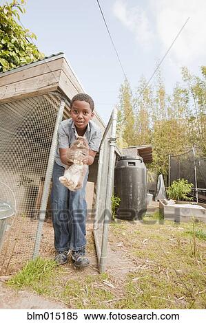 Stock Photography - Boy taking rabbit from hutch. Fotosearch