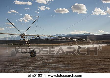 Stock Image - Irrigation sprinklers watering field. Fotosearch