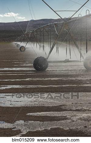 Stock Photo - Irrigation sprinklers watering field. Fotosearch