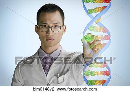 Stock Image - Korean scientist touching DNA model. Fotosearch