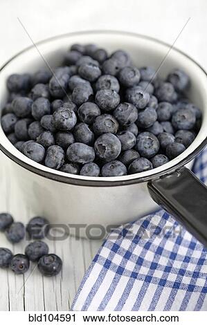 Blueberries in pan View Large Photo Image Stock Image - Blueberries in pan. Fotosearch