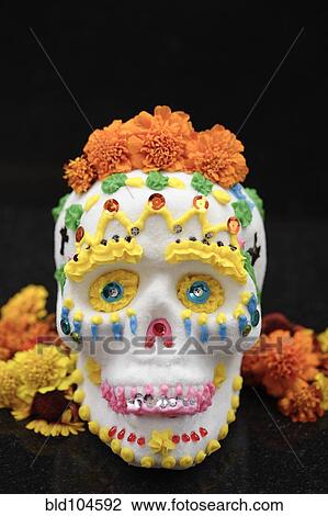 Decorated skull for Day of the Dead celebration View Large Photo Image Stock Image - Decorated skull for Day of the Dead celebration. Fotosearch