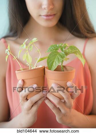 Hispanic teenager holding potted plants View Large Photo Image Picture - Hispanic teenager holding potted plants. Fotosearch