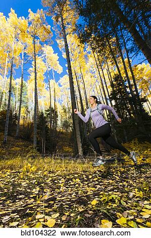 Stock Image - Hispanic woman running in woods. Fotosearch