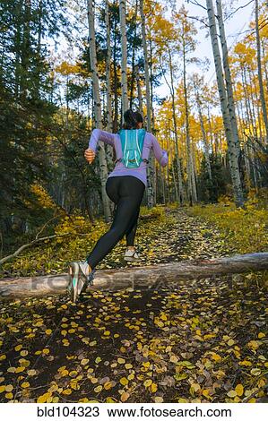 Hispanic woman running in woods View Large Photo Image Stock Image - Hispanic woman running in woods. Fotosearch