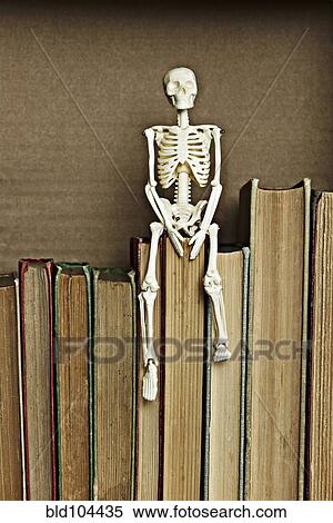 Skeleton on top of books View Large Photo Image Stock Photography - Skeleton on top of books. Fotosearch